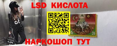 дурь Шелехов