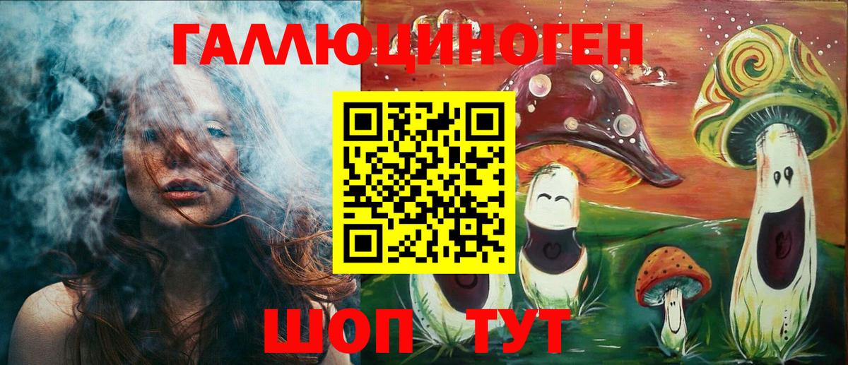 Псилоцибиновые грибы Psilocybe Владикавказ