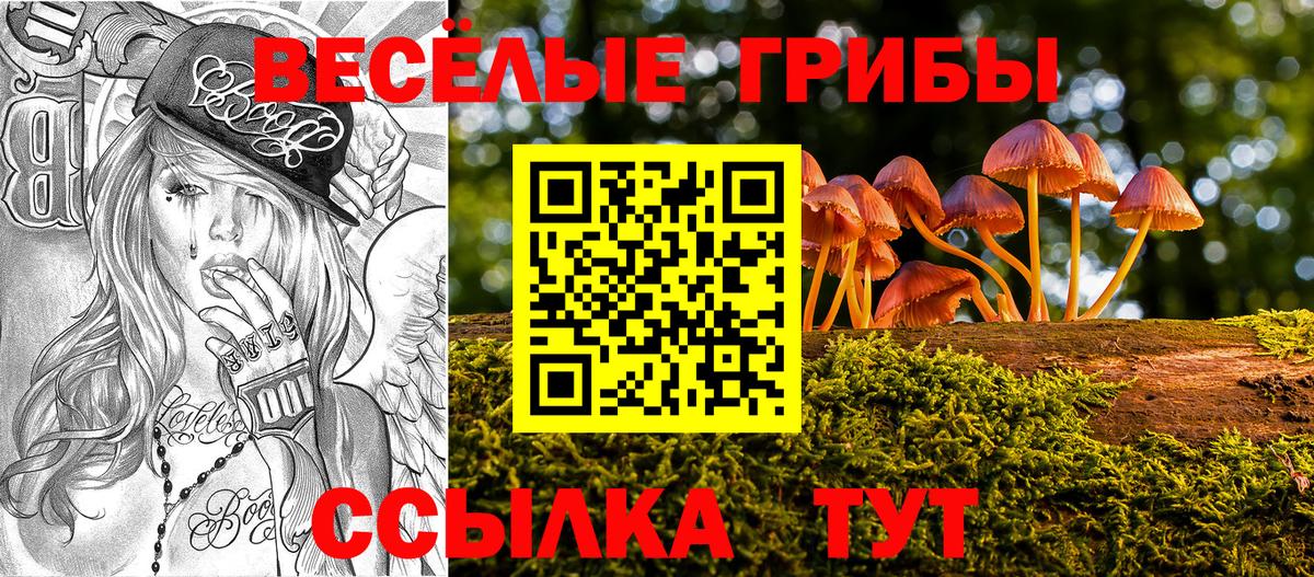 даркнет сайт  Вход с VPN  Псилоцибиновые грибы GOLDEN TEACHER  Владикавказ  Галлюциногенные грибы мухоморы 
